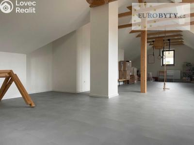 Продажа семейного дома Klecany, U lékárny č. 11