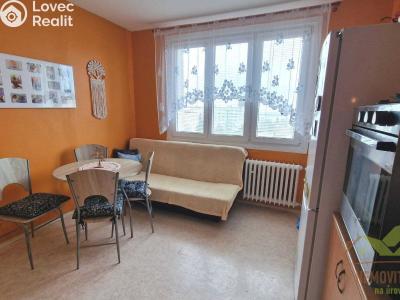 Pronájem bytu 1+1 Plzeň, Luďka Pika 470 č. 7