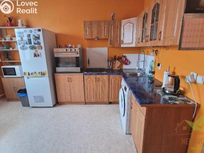 Pronájem bytu 1+1 Plzeň, Luďka Pika 470 č. 5