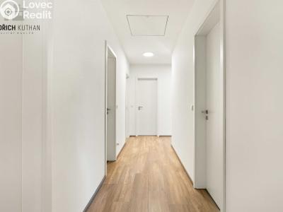Продажа семейного дома Tuřany č. 15