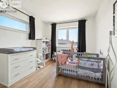 Продажа семейного дома Tuřany č. 19