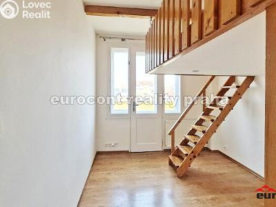 Pronájem bytu 2+1 Praha, Novgorodská č. 3
