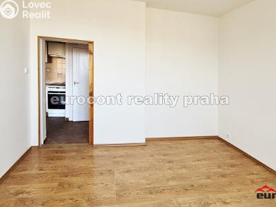 Pronájem bytu 2+1 Praha, Novgorodská č. 6