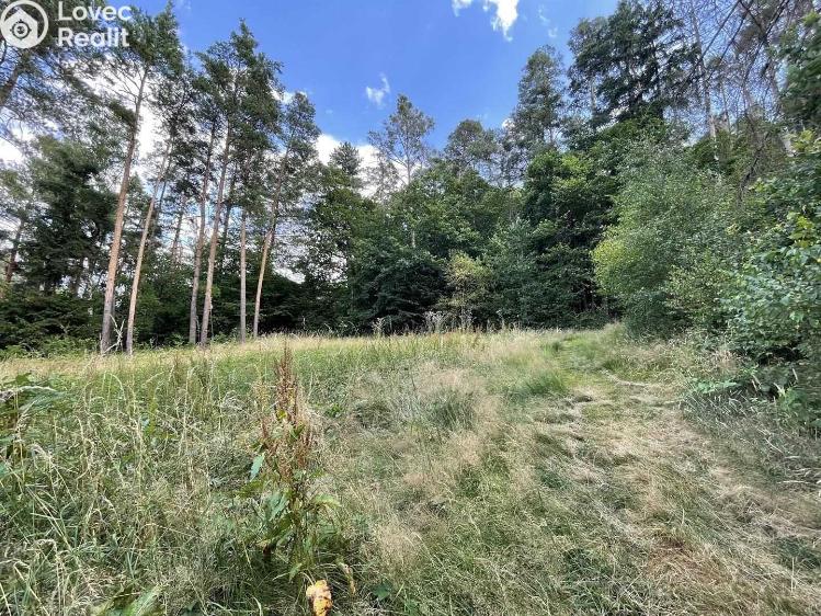 Prodej stavebního pozemku Rabyně, Měřín č. 15