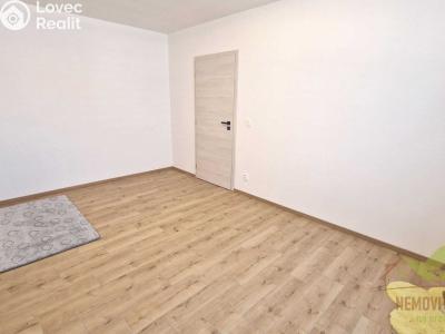 Продажа семейного дома Dýšina, V. Brožíka 61 č. 24