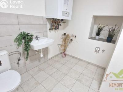 Продажа семейного дома Dýšina, V. Brožíka 61 č. 16