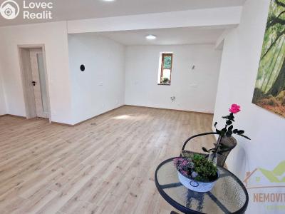 Продажа семейного дома Dýšina, V. Brožíka 61 č. 11