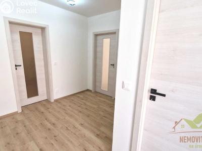 Продажа семейного дома Dýšina, V. Brožíka 61 č. 28
