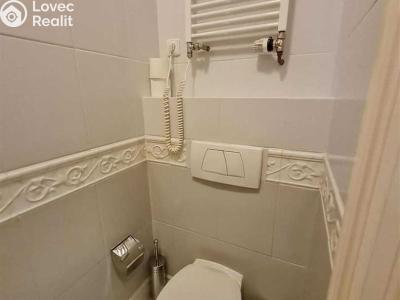 Rent apartment 3+KK Praha, Truhlářská č. 10