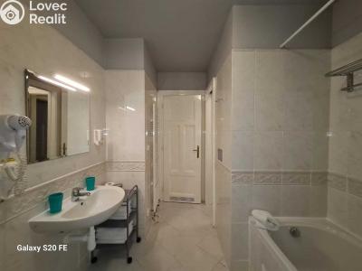 Rent apartment 3+KK Praha, Truhlářská č. 19