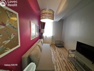 Rent apartment 3+KK Praha, Truhlářská č. 12