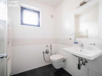 Rent family house Praha, Exnárova 1029 č. 16