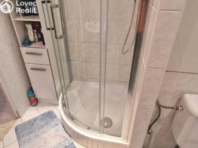 Оренда квартири 1+1 Plzeň, Luďka Pika 470 č. 10