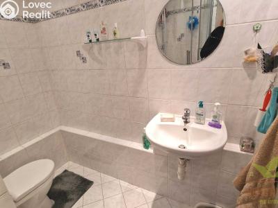 Оренда квартири 1+1 Plzeň, Luďka Pika 470 č. 11