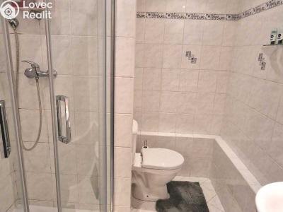 Оренда квартири 1+1 Plzeň, Luďka Pika 470 č. 9