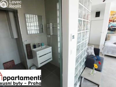 Sale apartment 1+KK Praha, Holandská 1051 č. 11