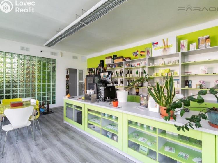 Prodej činžovního domu Neratovice, Vojtěšská č. 14