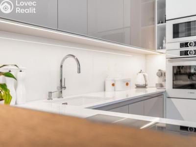 Sale apartment 4+KK Praha, Na pomezí č. 6