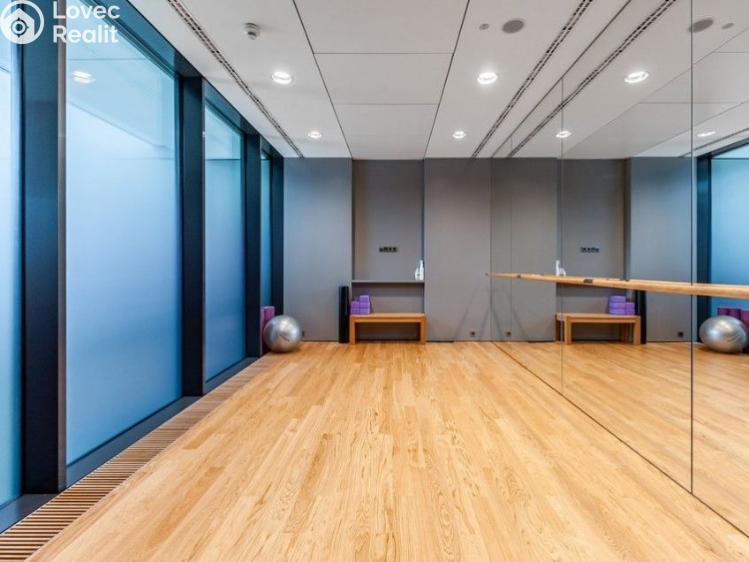 Prodej bytu 4+KK Praha, Milevská č. 29