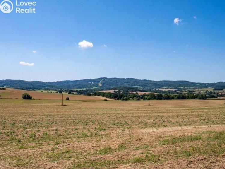 Prodej stavebního pozemku Sedlec-Prčice č. 6