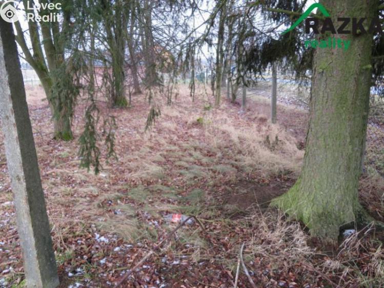 Prodej komerčního pozemku Vojtanov č. 6