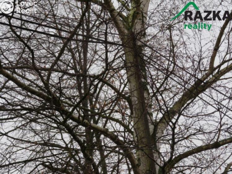 Prodej komerčního pozemku Vojtanov č. 7