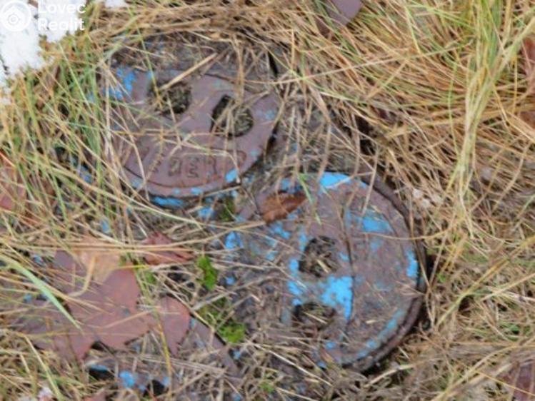 Prodej komerčního pozemku Vojtanov č. 9