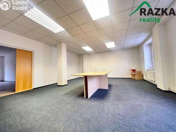 Pronájem skladového prostoru Tachov, Školní č. 1