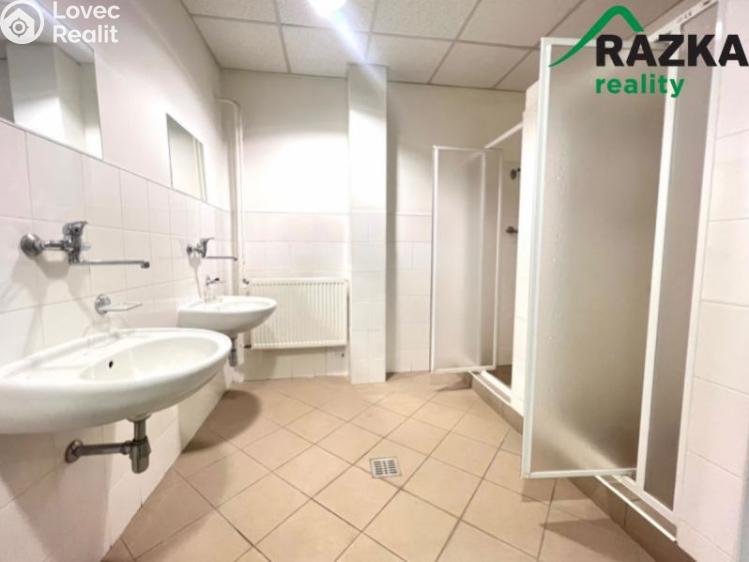 Pronájem skladového prostoru Tachov, Školní č. 4