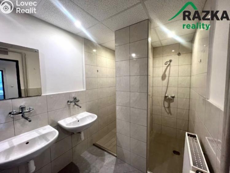 Pronájem skladového prostoru Tachov, Školní č. 5