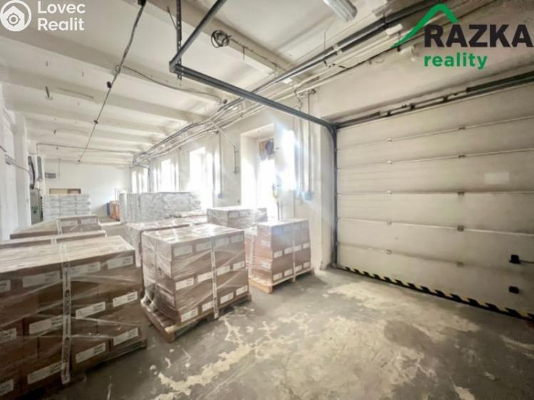 Pronájem skladového prostoru Tachov, Školní č. 8