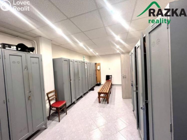 Pronájem skladového prostoru Tachov, Školní č. 10