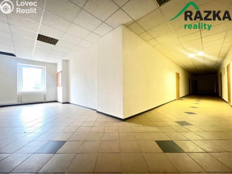 Pronájem skladového prostoru Tachov, Školní č. 12