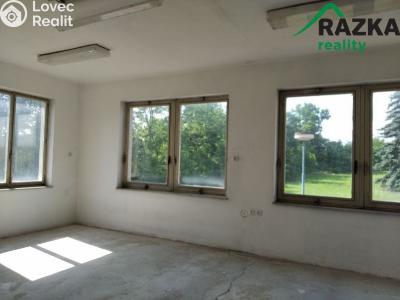 Продаж комерційної нерухомості Horažďovice č. 16