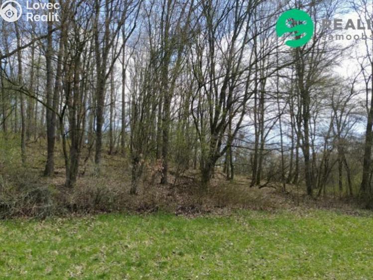 Prodej komerčního pozemku Hradčovice č. 2
