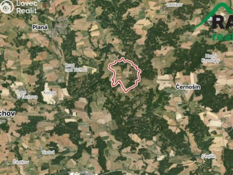 Prodej stavebního pozemku Planá č. 1