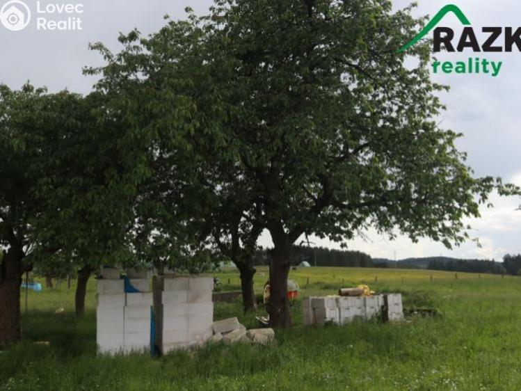 Prodej stavebního pozemku Planá č. 5