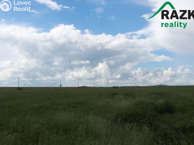 Prodej stavebního pozemku Planá č. 7
