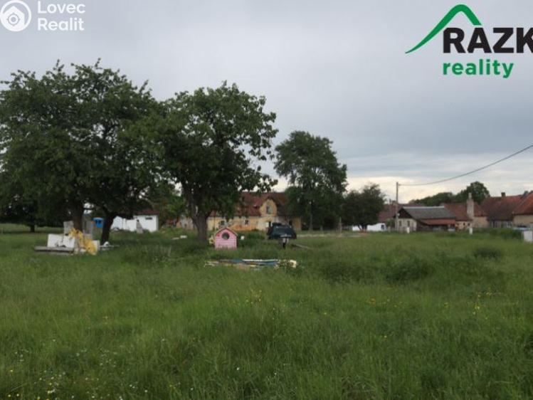 Prodej stavebního pozemku Planá č. 8