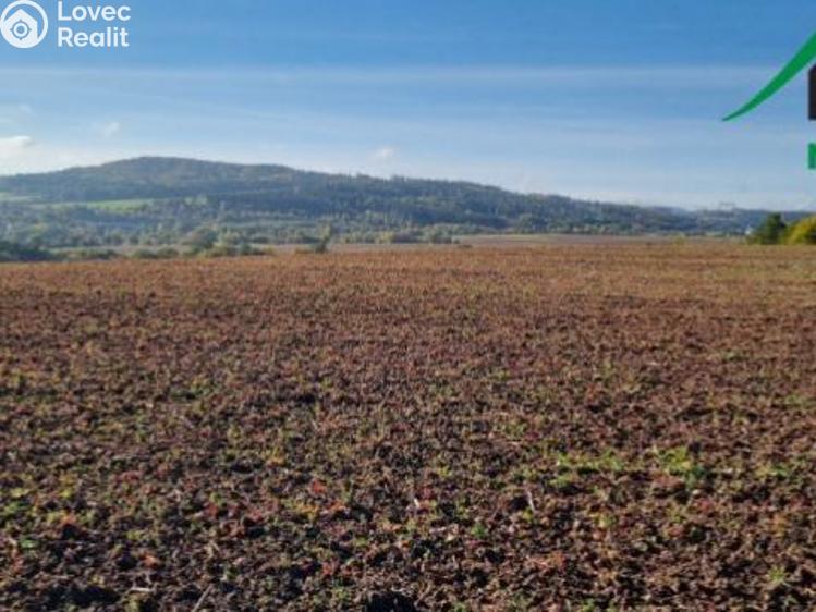 Prodej pole Lubenec č. 11
