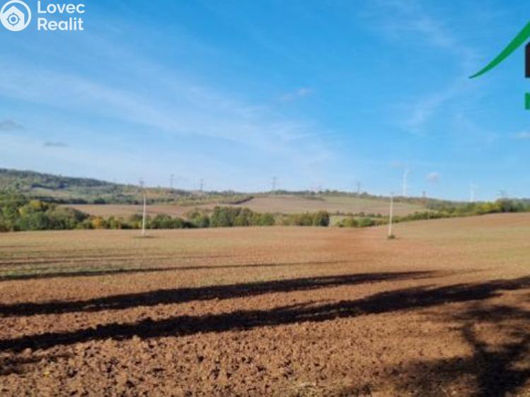 Prodej pole Lubenec č. 2