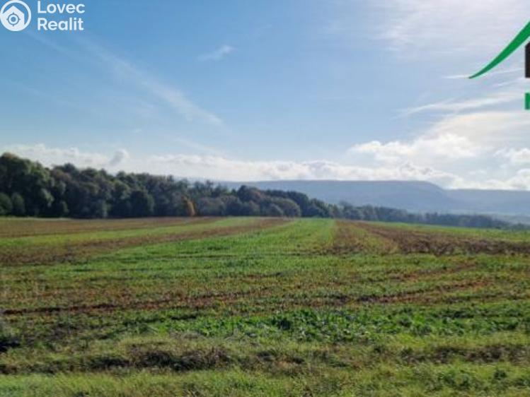 Prodej pole Lubenec č. 3