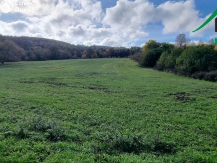 Prodej pole Lubenec č. 4