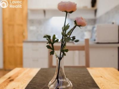 Sale family house Herálec, Herálec č. 5