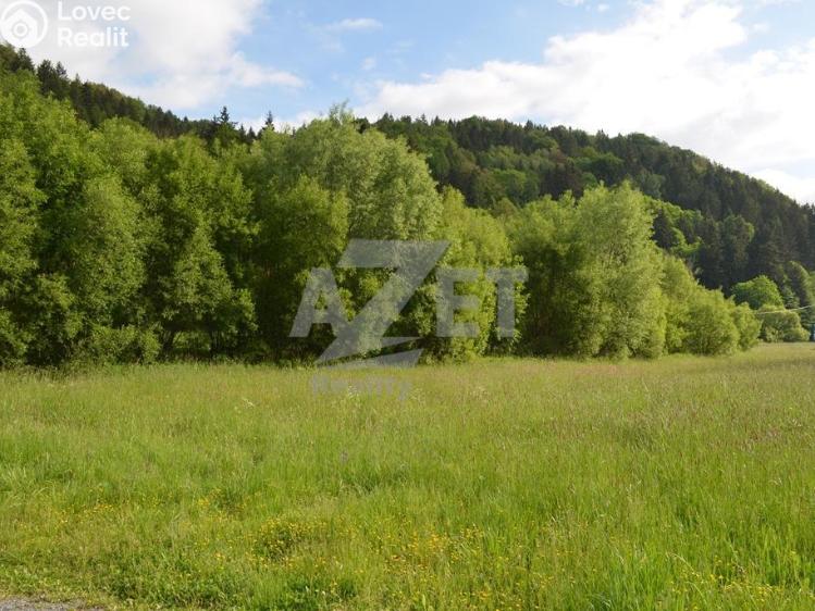 Prodej stavebního pozemku Hanušovice č. 4