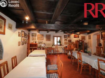 Продажа гостиницы Plzeň, Na Roudné č. 9