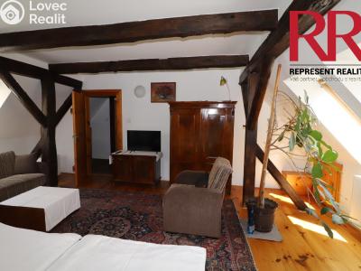 Продажа гостиницы Plzeň, Na Roudné č. 12
