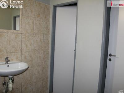 Rent restaurant Plzeň, Americká č. 28