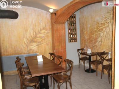 Rent restaurant Plzeň, Americká č. 23