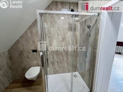 Продажа квартиры 2+KK Mariánské Lázně, Chopinova č. 15